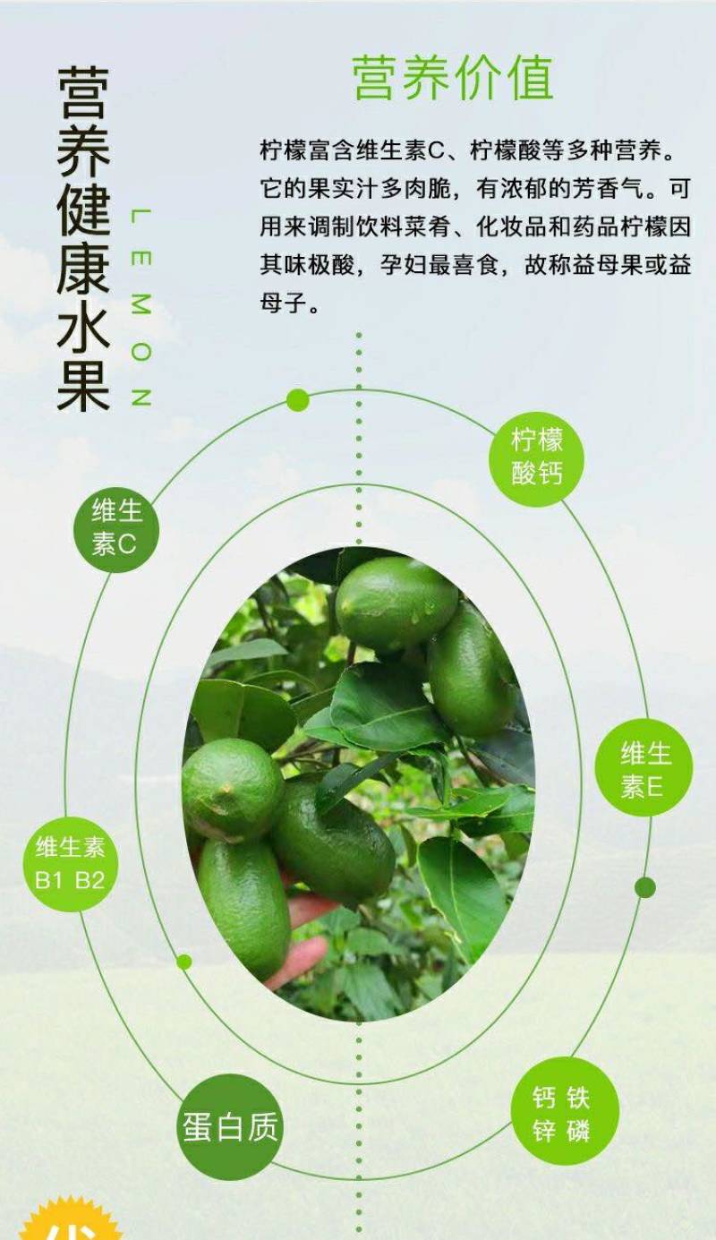 子弹头香水柠檬