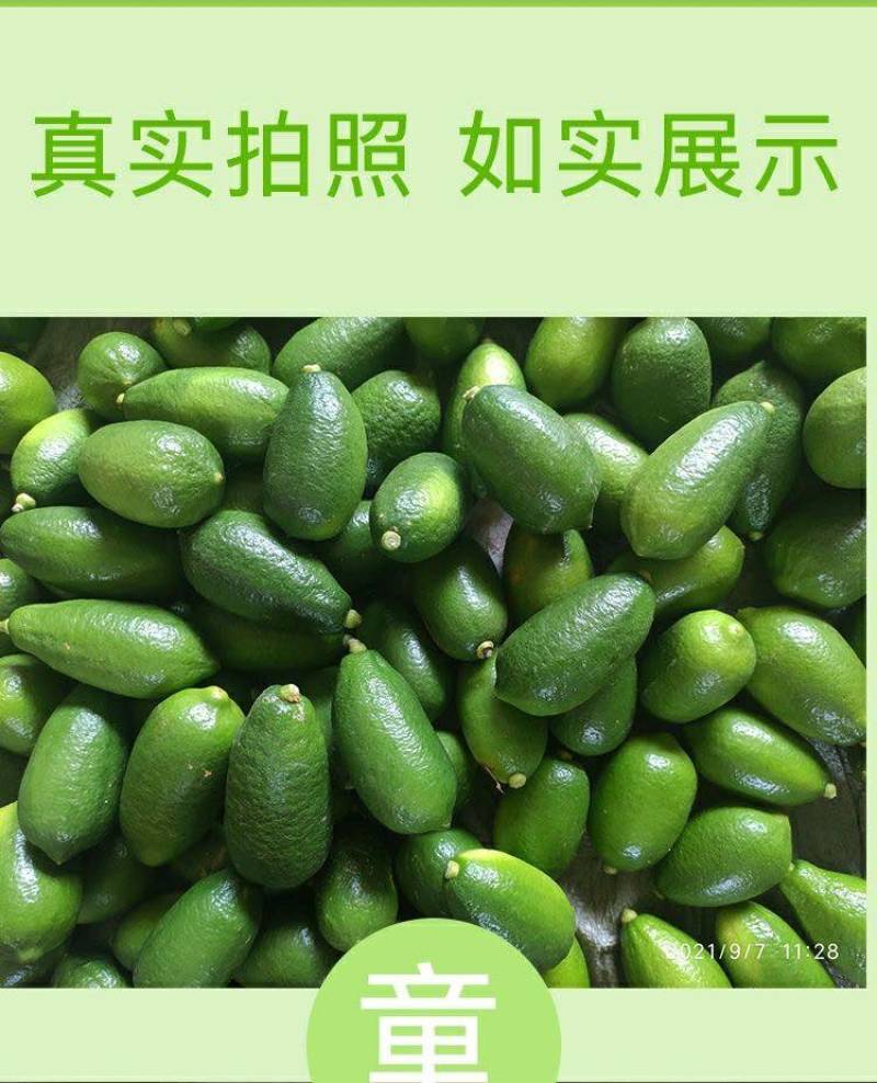 子弹头香水柠檬