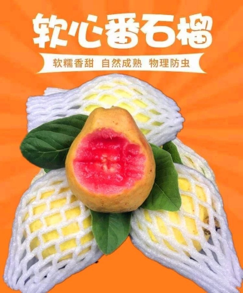 广西奶油芭乐