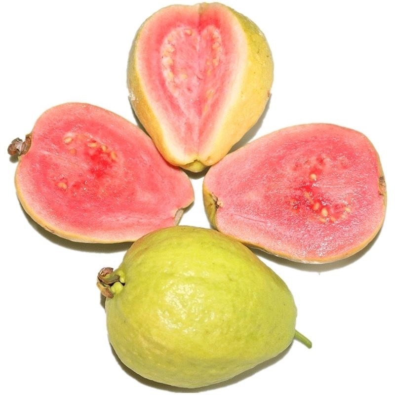广西奶油芭乐
