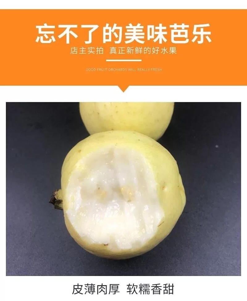 广西奶油芭乐