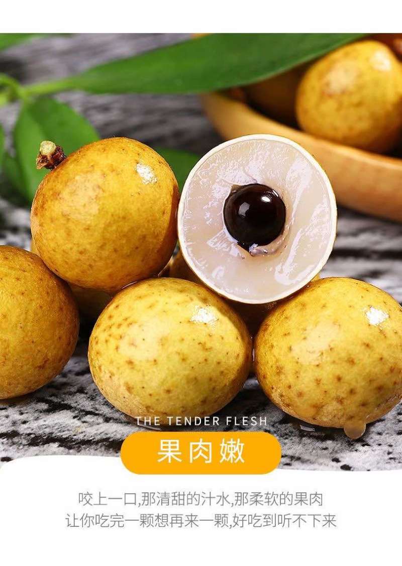 广西石硖龙眼