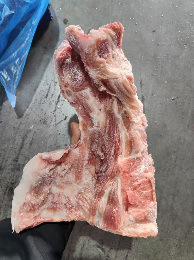 猪胫骨