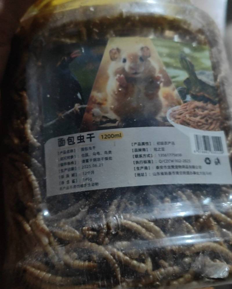 黄粉虫干品