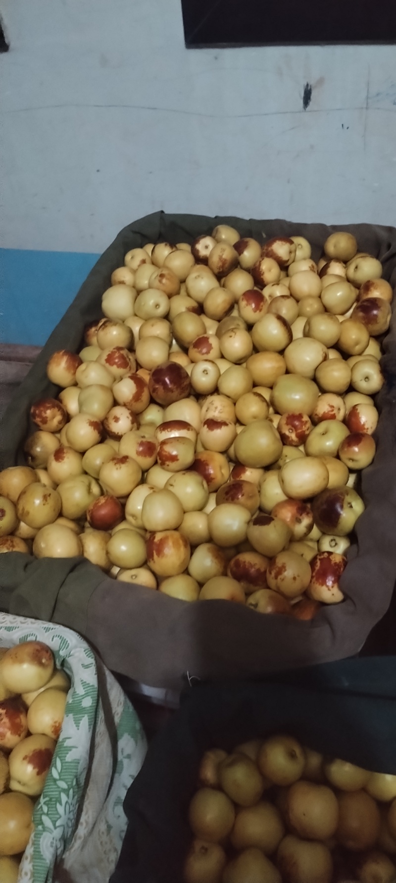 陕西大荔冬枣