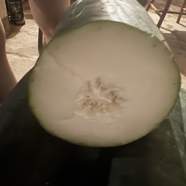 黑皮冬瓜