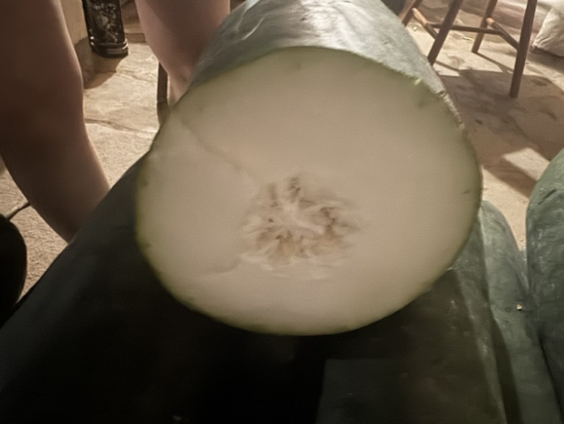 黑皮冬瓜
