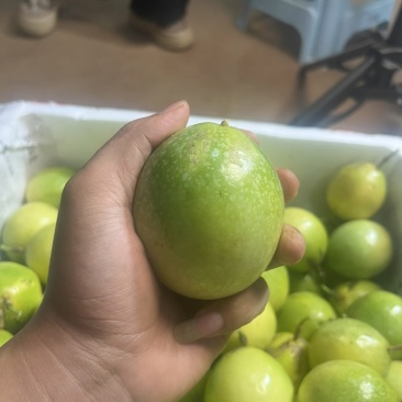 百香果、核桃、