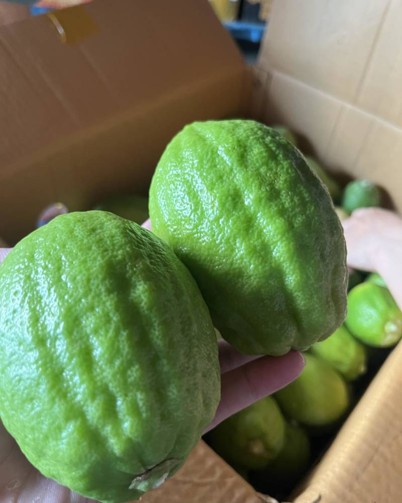 香水柠檬
