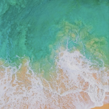 对虾