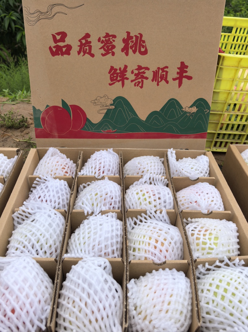 兰州白凤桃