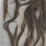 刀鳅