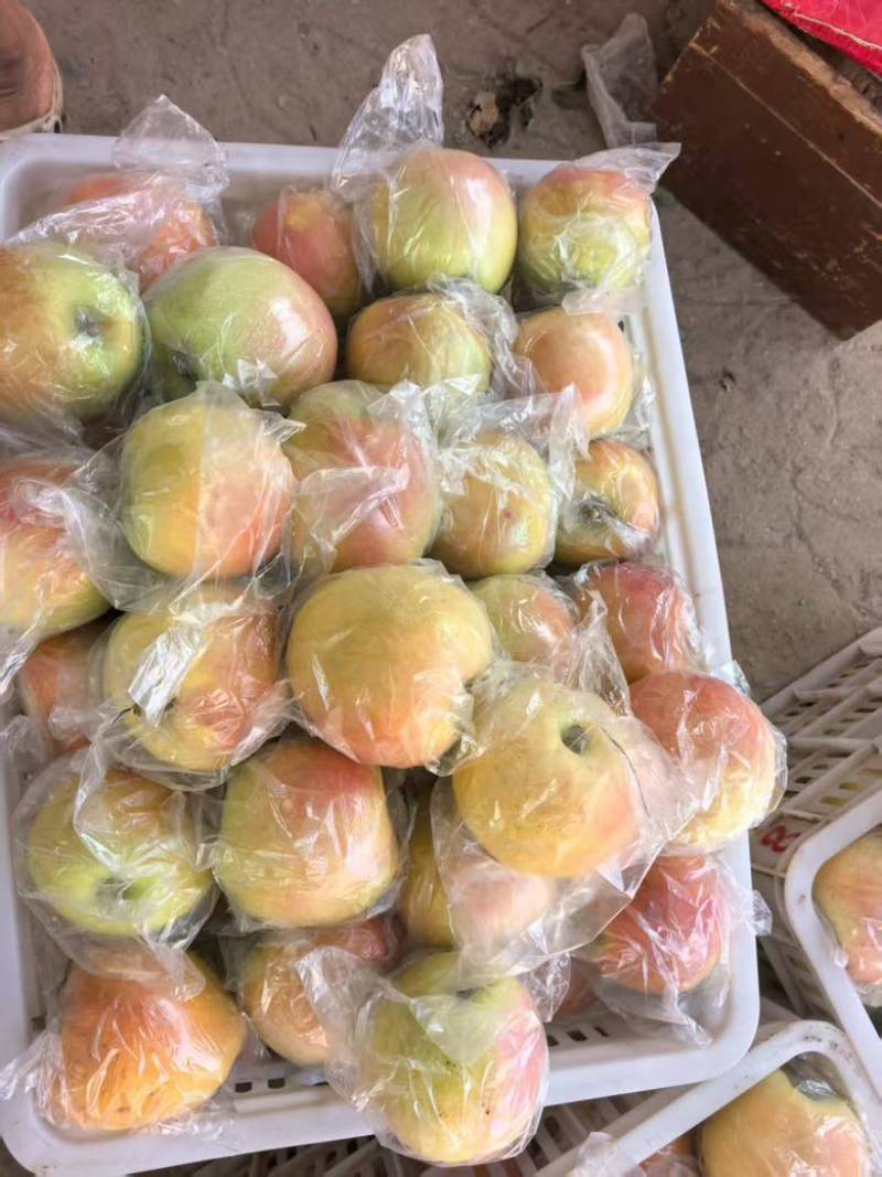 一件代发红富士🍎嘎拉苹果青苹果价格低品质好对接各大电商平台