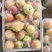 一件代发红富士🍎嘎拉苹果青苹果价格低品质好对接各大电商平台