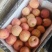 一件代发红富士🍎嘎拉苹果青苹果价格低品质好对接各大电商平台