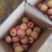 一件代发红富士🍎嘎拉苹果青苹果价格低品质好对接各大电商平台