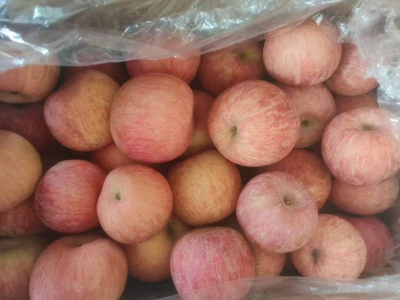 一件代发红富士🍎嘎拉苹果青苹果价格低品质好对接各大电商平台