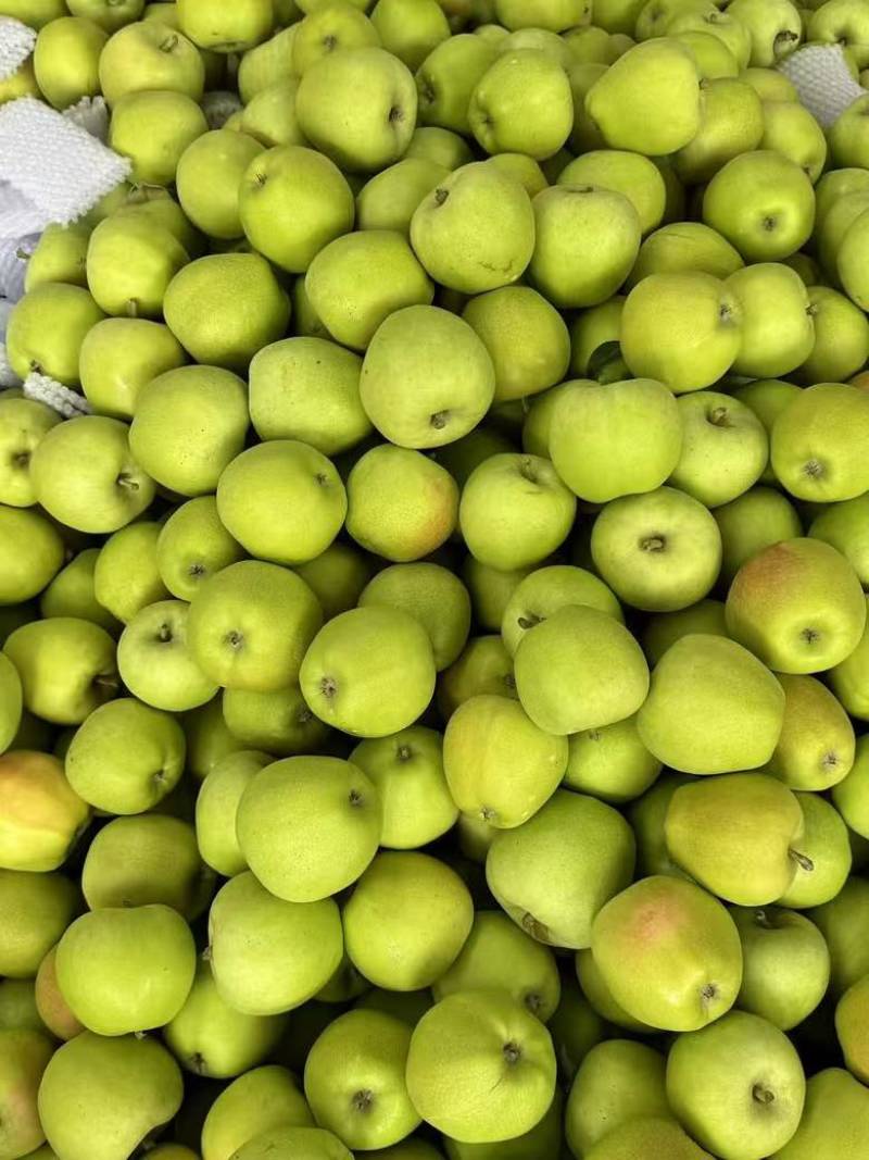一件代发红富士🍎嘎拉苹果青苹果价格低品质好对接各大电商平台