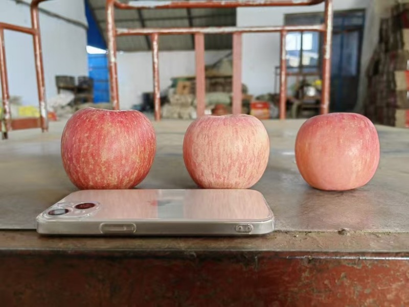 一件代发红富士🍎嘎拉苹果青苹果价格低品质好对接各大电商平台