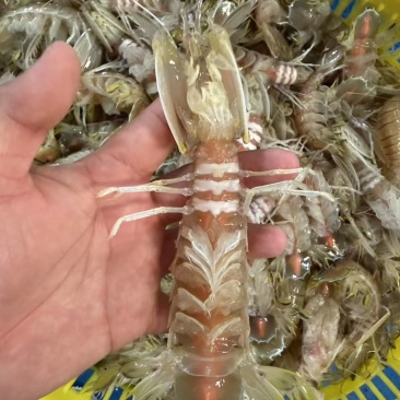海鲜