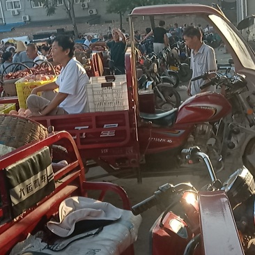 陕西黄桃