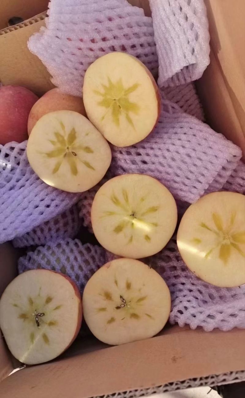 阿克苏冰糖心苹果