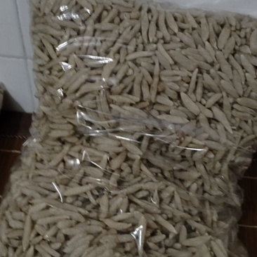麦冬