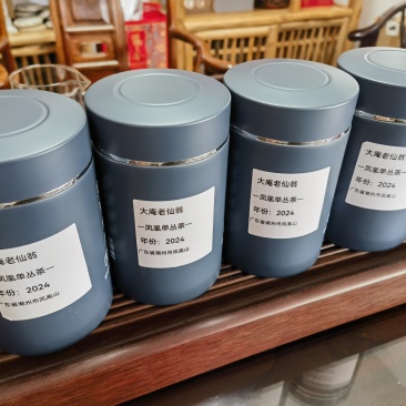 凤凰单丛