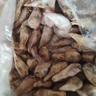 临期鹅头4吨