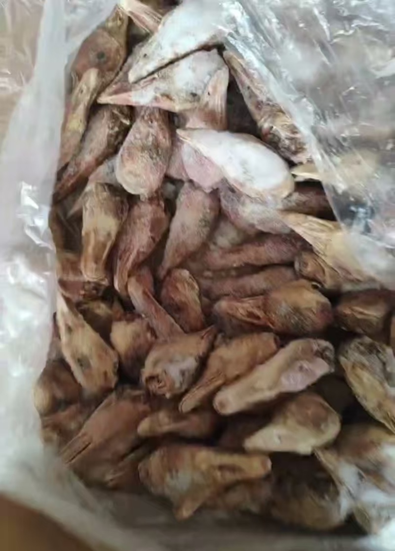 临期鹅头4吨