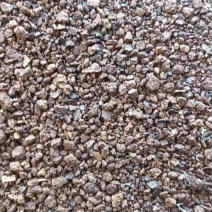 精品茶饼茶粕厂家直销