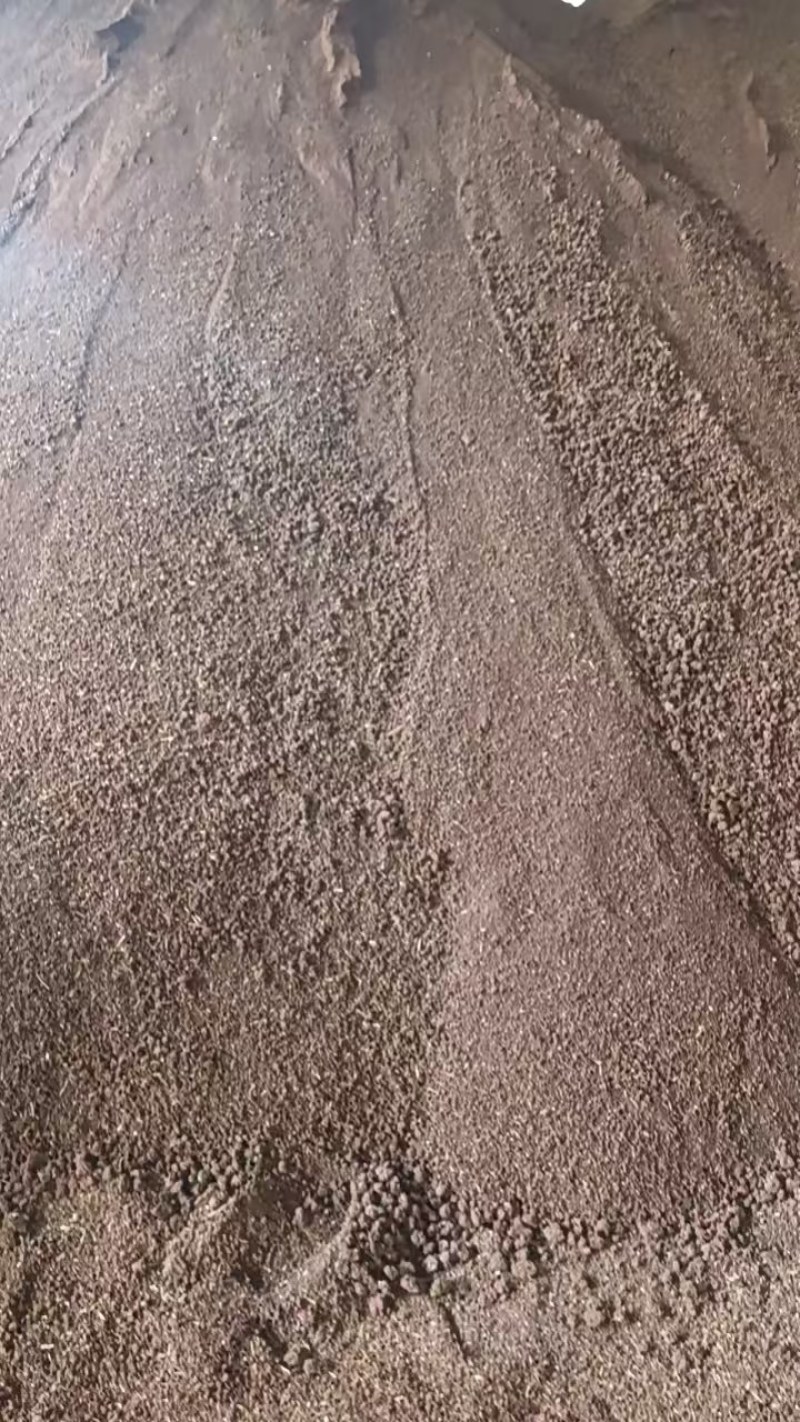 精品茶饼茶粕厂家直销