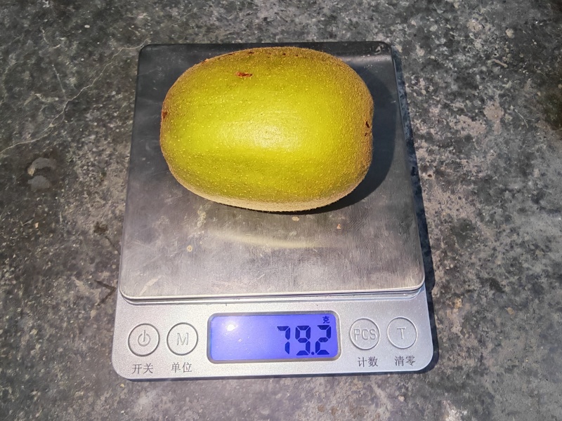 都江堰市紅心彌猴桃