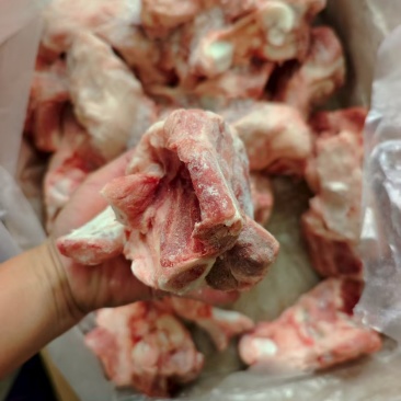 160后肘骨