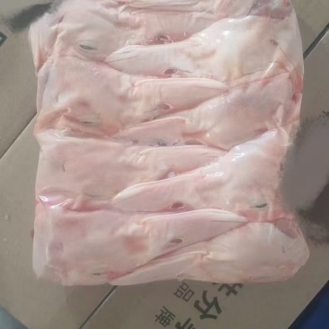 一级鸭9头