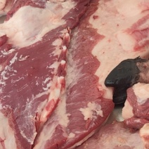 跑山猪土猪肉
