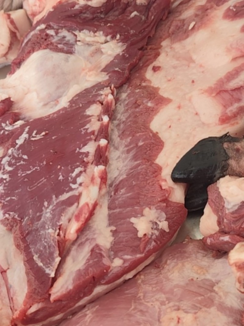 跑山猪土猪肉
