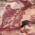 跑山猪土猪肉