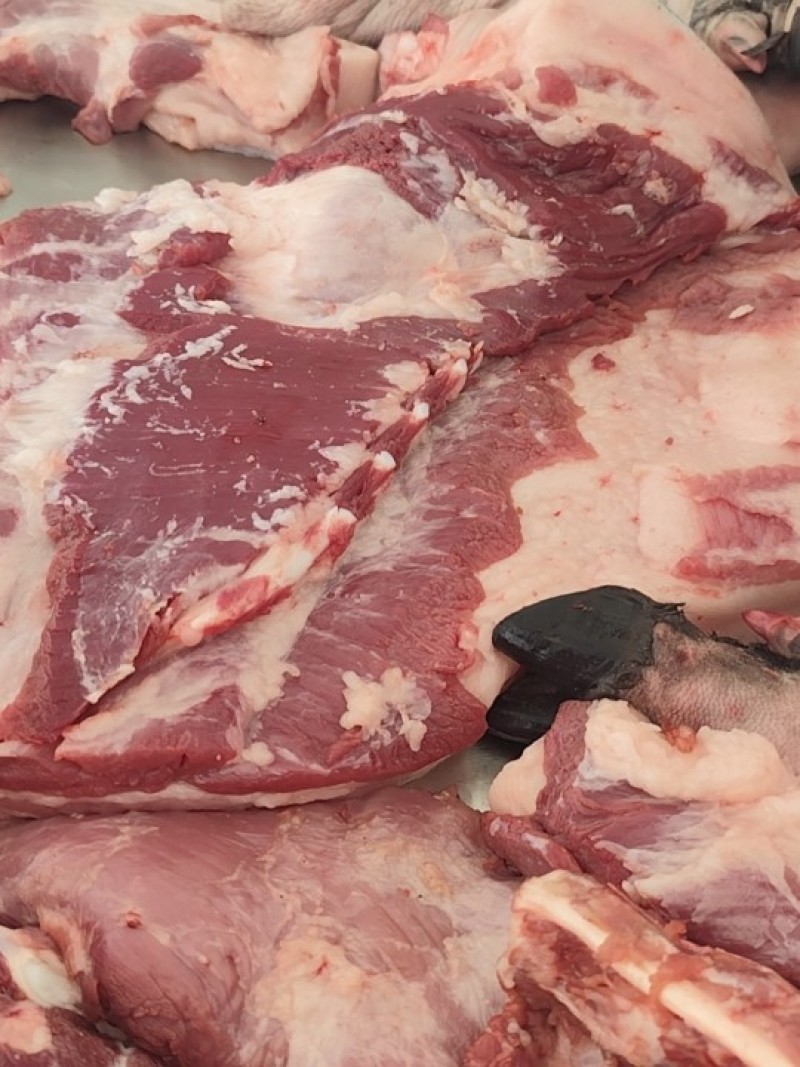跑山猪土猪肉