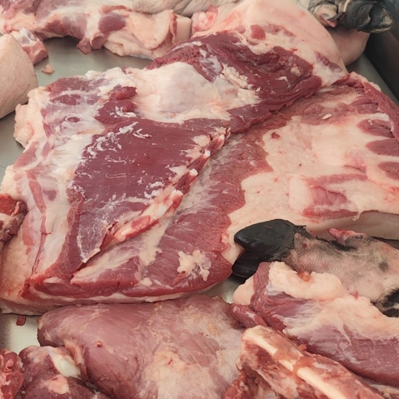 跑山猪土猪肉
