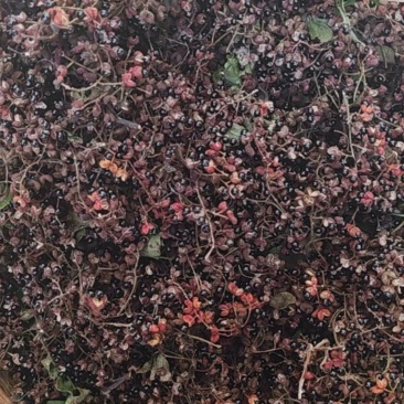 山东花椒