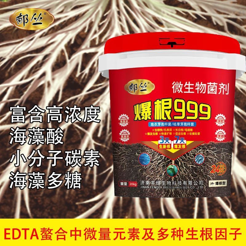 爆根999有机水溶肥料强力生根壮苗剂根多多冲施肥果树蔬菜桶肥