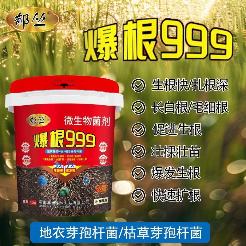 爆根999有机水溶肥料强力生根壮苗剂根多多冲施肥果树蔬菜桶肥