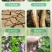爆根999有机水溶肥料强力生根壮苗剂根多多冲施肥果树蔬菜桶肥