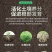 爆根999有机水溶肥料强力生根壮苗剂根多多冲施肥果树蔬菜桶肥
