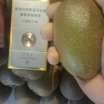 陕西省渭南市临渭区三张镇