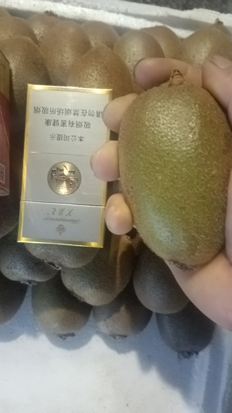 陕西省渭南市临渭区三张镇