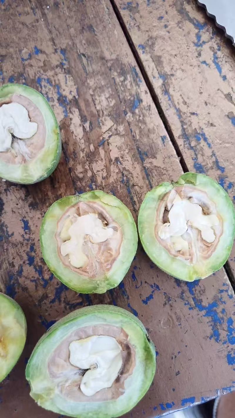庆阳青皮核桃