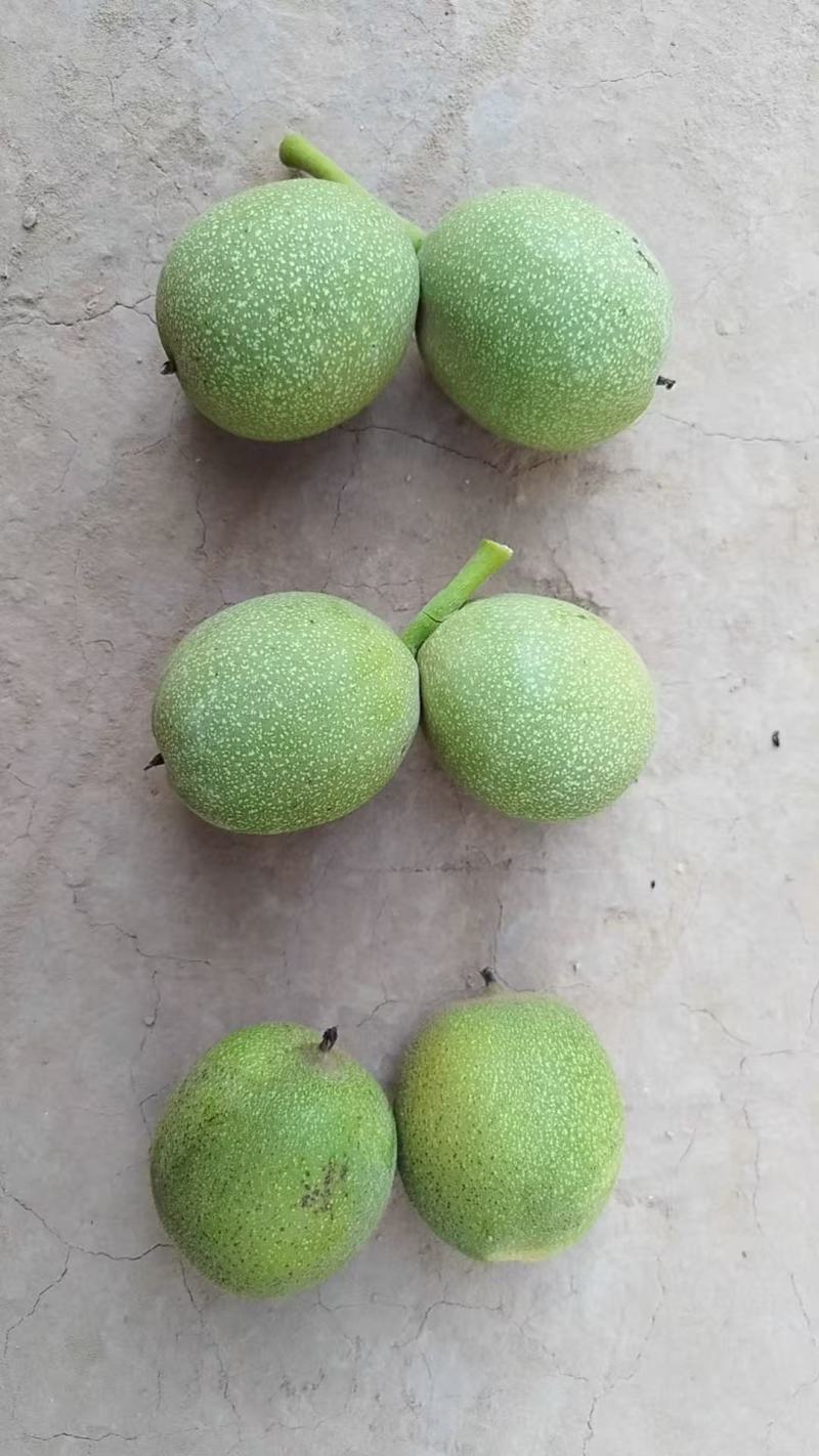 庆阳青皮核桃
