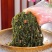 野生马尾藻，即食，早餐，零食。